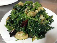 菠菜拌贝尖-老王头饺子(孟家店)