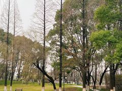 -范蠡湖公园