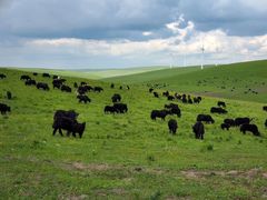 -塞罕坝国家级自然保护区