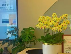 -悦瑢港湾科技美肤芳疗美容