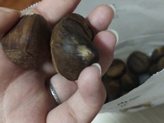 -岭峥炒栗(千峰商贸店)