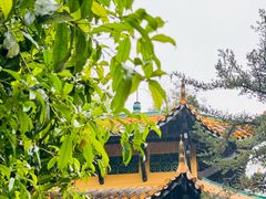 -岳麓山风景名胜区