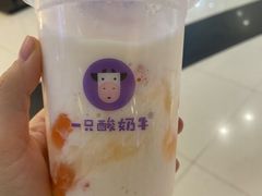 乐乐桃桃酸奶多-一只酸奶牛(来福士店)