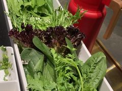 -南门四季铜锅涮肉(大屯·北苑店)