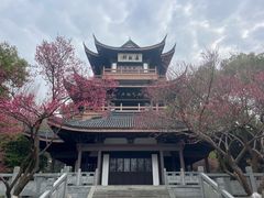 -范蠡湖公园