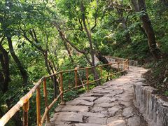 -北京上方山国家森林公园