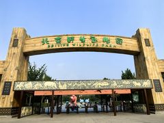 -北京野生动物园