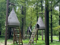 -黄海国家森林公园