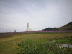 -紫颐香薰山谷景区