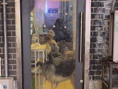 门面-萌喵咖啡屋(人民东路4号口M16商铺店)