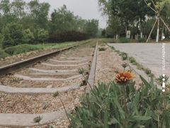 -永定河休闲森林公园