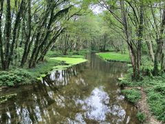 -西溪南古村落景区