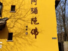 -灵谷景区