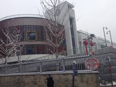 -中国宋庆龄青少年科技文化交流中心