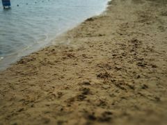 -碧海金沙