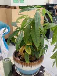 -苗医生专业祛痘·皮肤管理