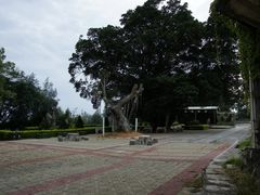 -大嶝英雄三岛战地观光园