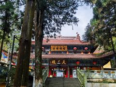 -东天目山风景区