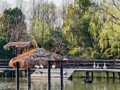 -溱湖国家湿地公园