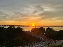 -宝安西湾红树林湿地公园