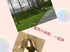 -前小桔亲子创意农场·草莓采摘·露营烧烤