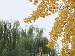 -百脉泉景区