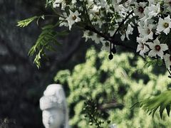 -八大处公园