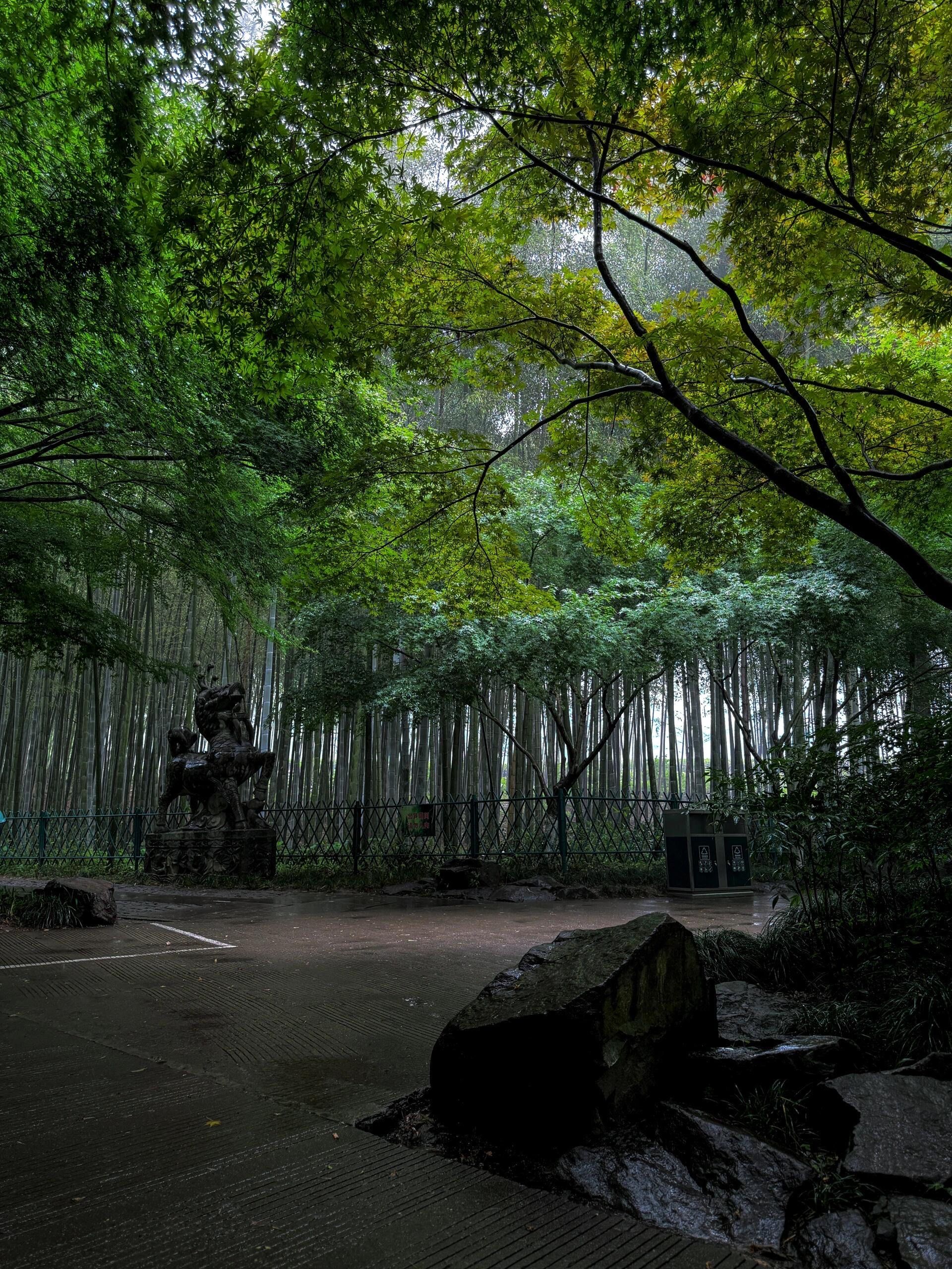 云溪竹径99雨后这里人少景美