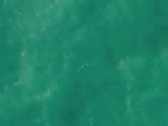 -泰堤坊(淡水体育馆店)