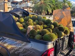 -马六甲鸡场街
