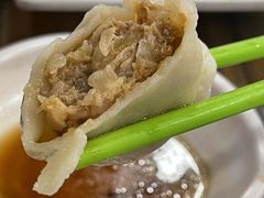 酸菜猪肉-宝源饺子(麦子店街店)