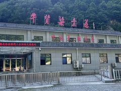 -牛背梁国家森林公园
