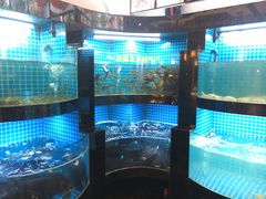 水产区-千岛湖小鱼儿·淳安匠心农家菜