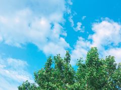 -美滋滋尚鱼烤鱼餐厅(空港店)