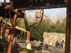 -白马涧龙池景区
