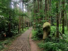-狼山风景名胜区