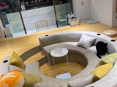 -啵啵喵·猫咖(攀华国际店)