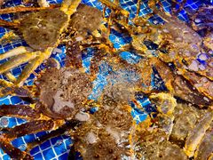 -驻海渔市(置信店)