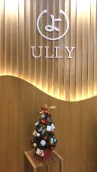 点击看大图 -宥莉·ULLY 痘敏肌•科技皮肤管理中心