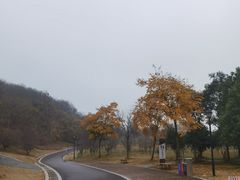 -南山风景名胜区