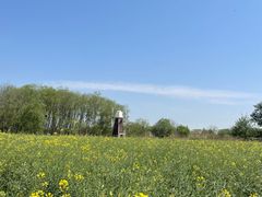 -长兴太湖图影湿地文化园