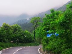 -树山生态村