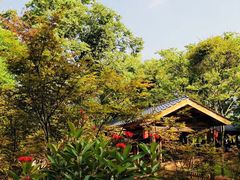 -金山公园