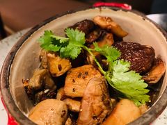 -the rug 飞毯 (朝阳公园店)