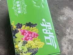 -马陆小张葡萄园农家乐