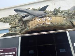 -秦皇岛乐岛海洋王国