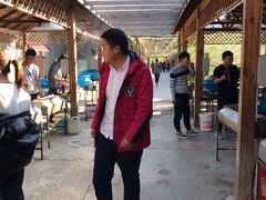 -亲兄弟真人CS团建拓展基地