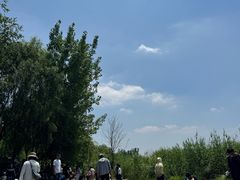 -绿堤公园