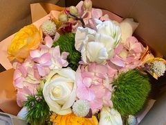 -齐玉齿科JADENTAL