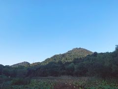 -西湖风景区-江洋畈生态公园